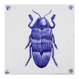 Azulejo insecto
